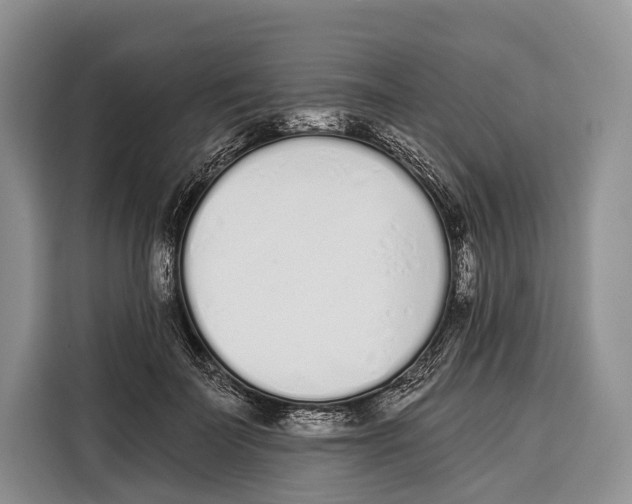 X0000115110699200911241327