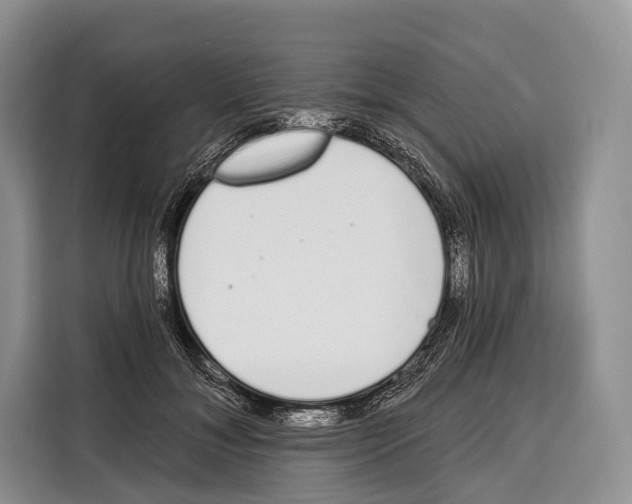 X0000115110700200911241327