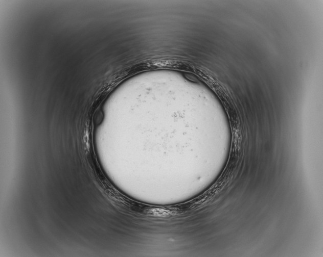 X0000115110703200911241327