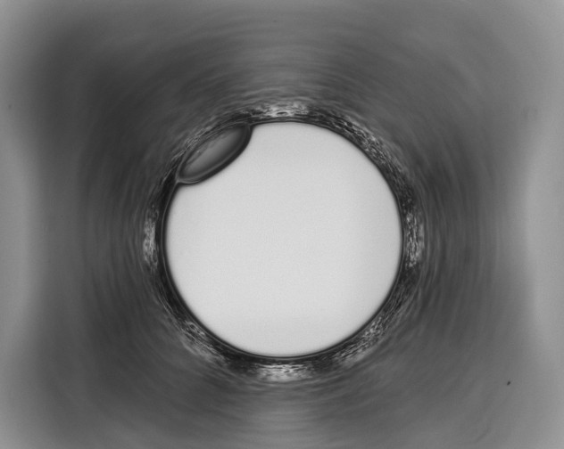 X0000115110704200911241327