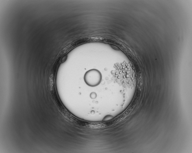 X0000115110707200911241327