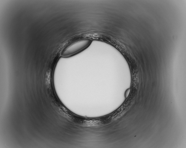 X0000115110708200911241327