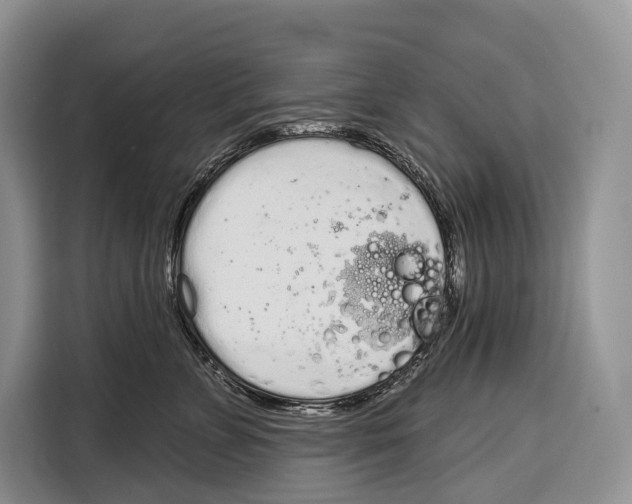 X0000115110715200911241327