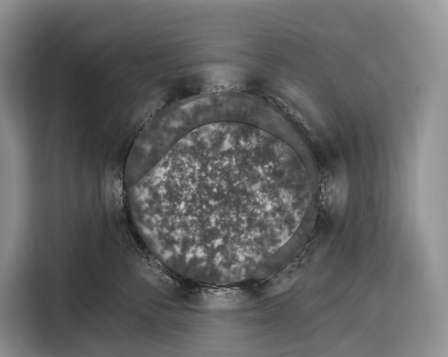 X0000115110716200911241327