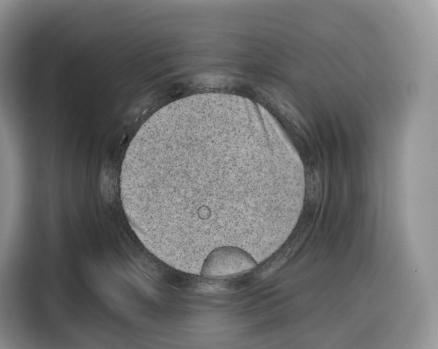 X0000115110718200911241327