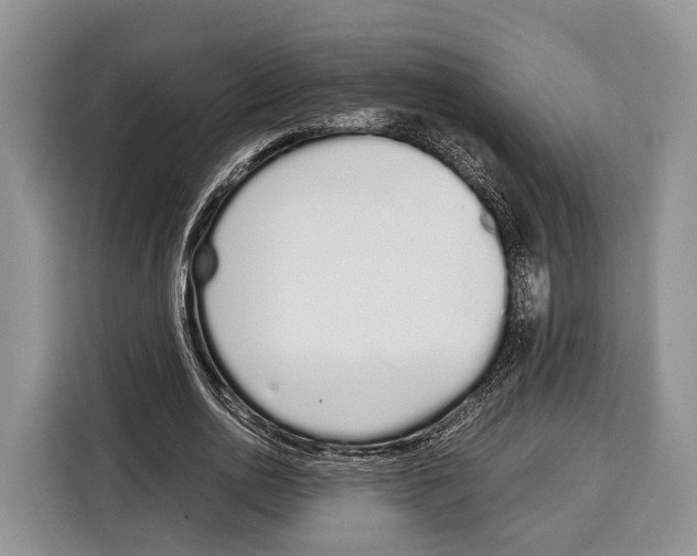 X0000115110726200911241326