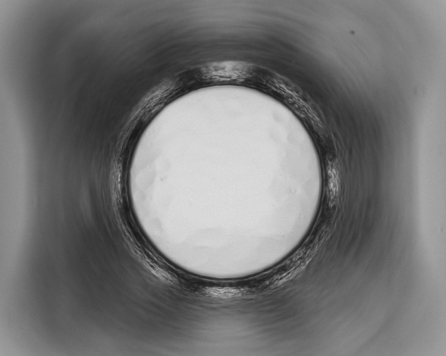 X0000115110733200911241327