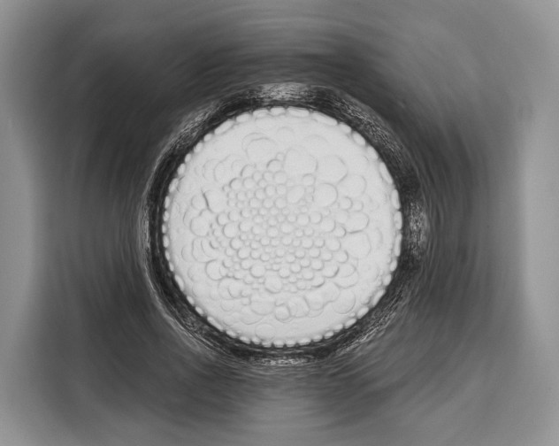 X0000115110734200911241327