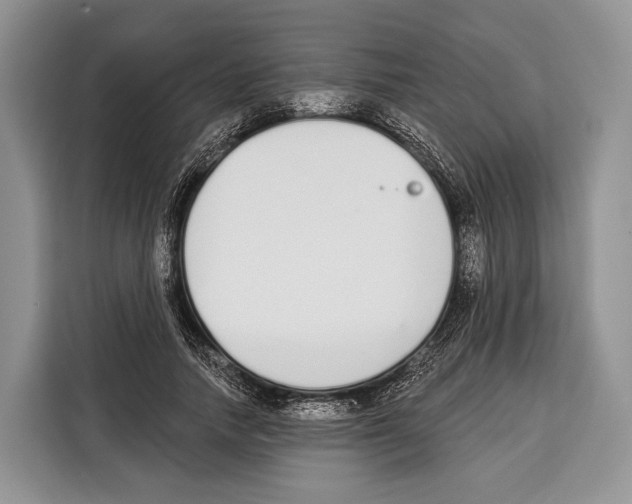 X0000115110738200911241327