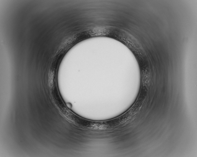 X0000115110742200911241327