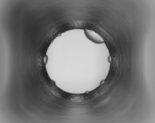 X0000115110750200911241327