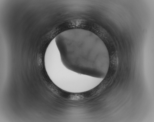 X0000115110754200911241327