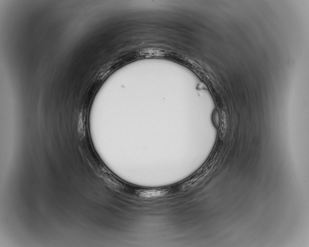 X0000115110759200911241327