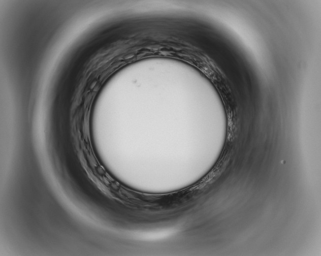 X0000115110765200911241327