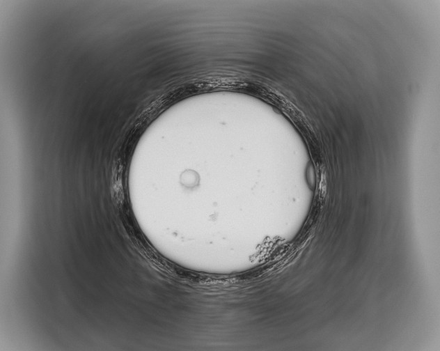 X0000115110771200911241326