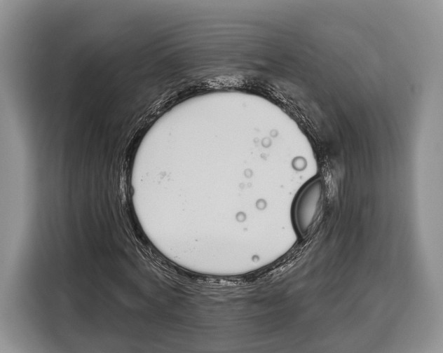 X0000115110772200911241326