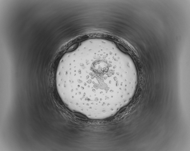 X0000115110775200911241326