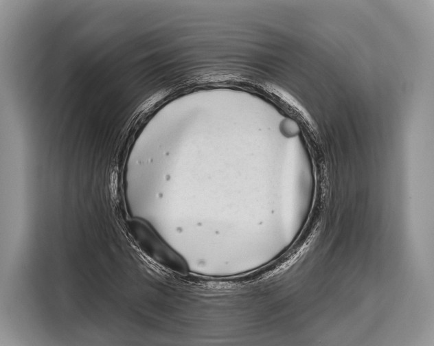 X0000115110777200911241326