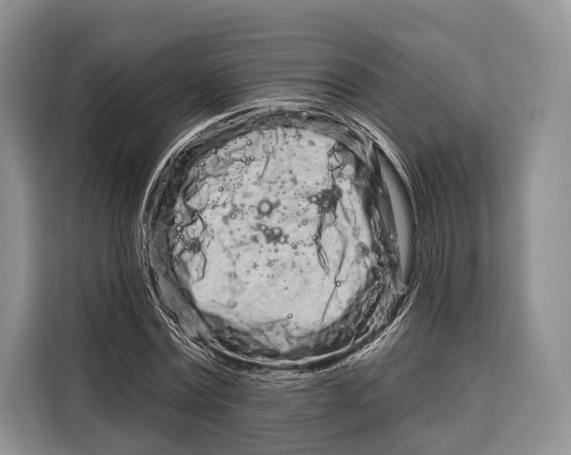 X0000115110779200911241326