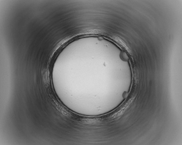 X0000115110781200911241326