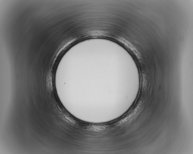 X0000115110782200911241326