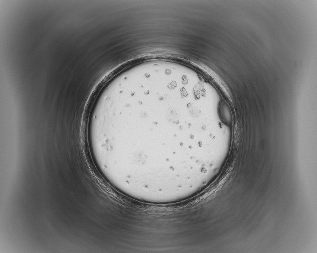 X0000115110783200911241326