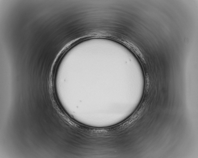 X0000115110784200911241326