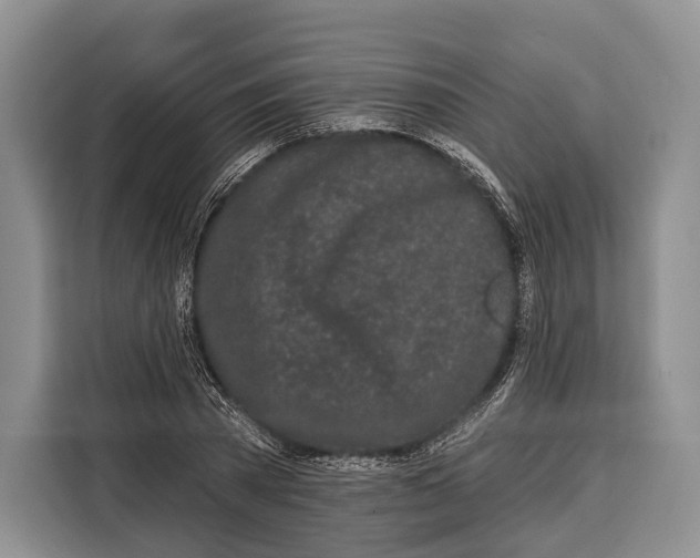 X0000115110785200911241326