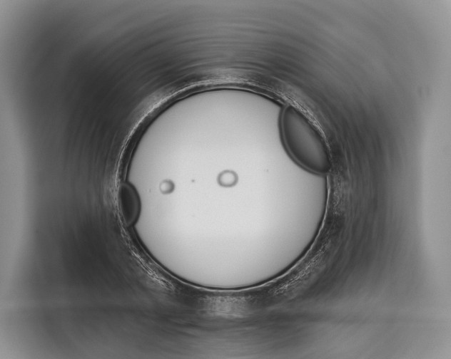 X0000115110789200911241326