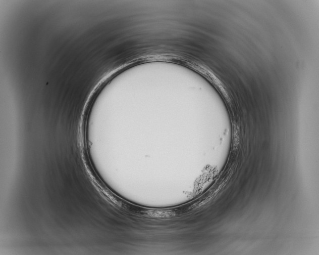 X0000115110795200911241326