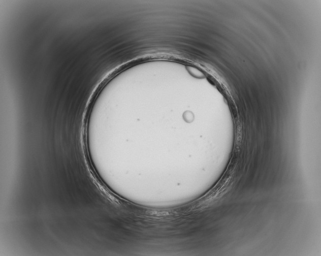 X0000115110799200911241326