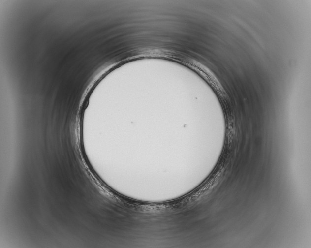 X0000115110804200911241326