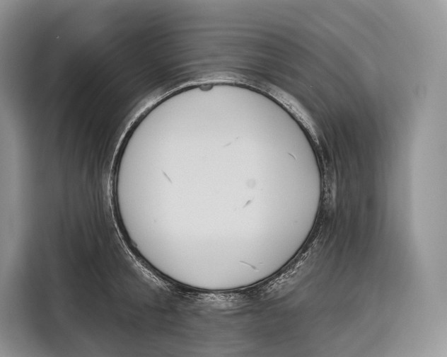 X0000115110805200911241326