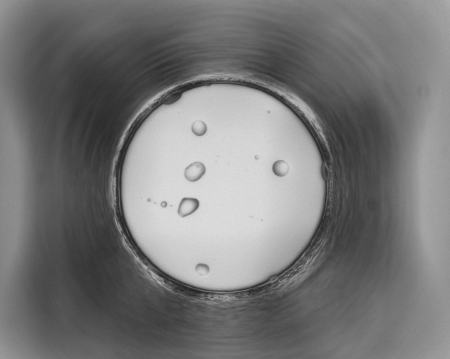 X0000115110807200911241326