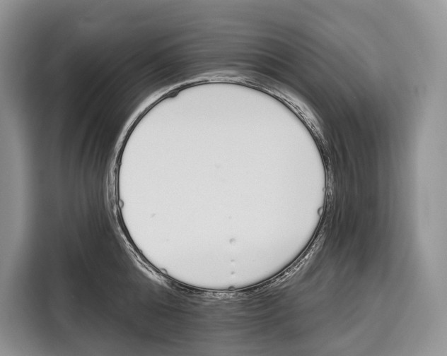 X0000115110808200911241326