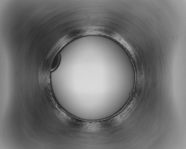 X0000115110809200911241326