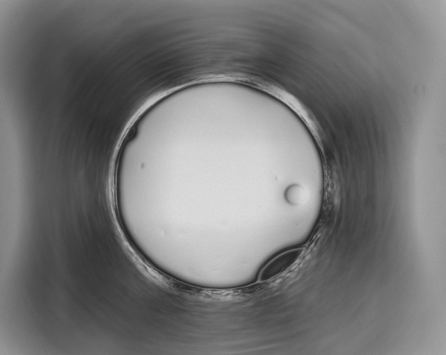 X0000115110811200911241326