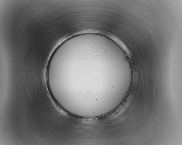 X0000115110813200911241326