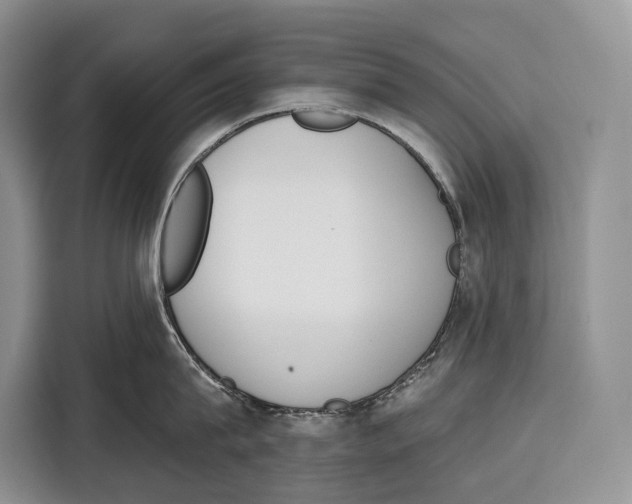 X0000115110815200911241326