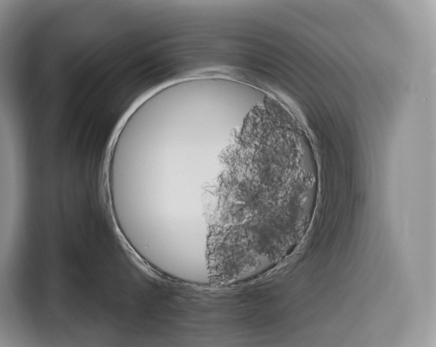 X0000115110816200911241326