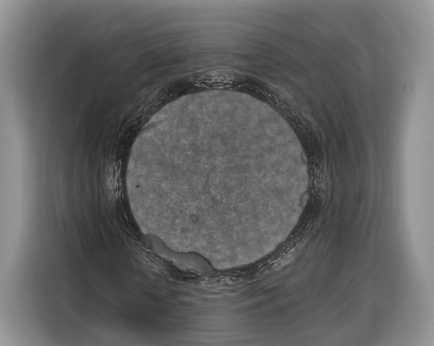 X0000115110818200911241325