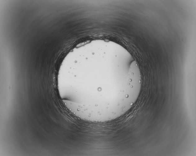 X0000115110820200911241325