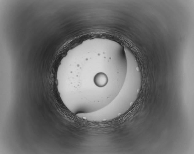 X0000115110824200911241325