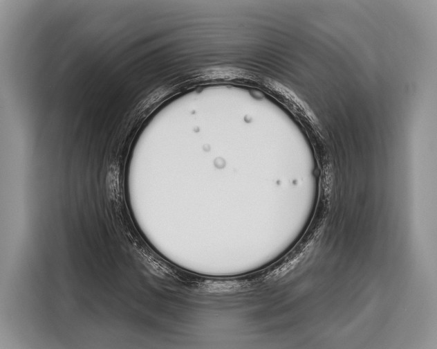 X0000115110825200911241325