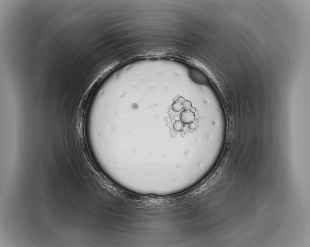 X0000115110827200911241325