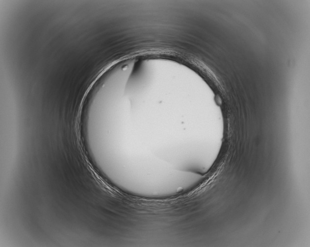 X0000115110828200911241325