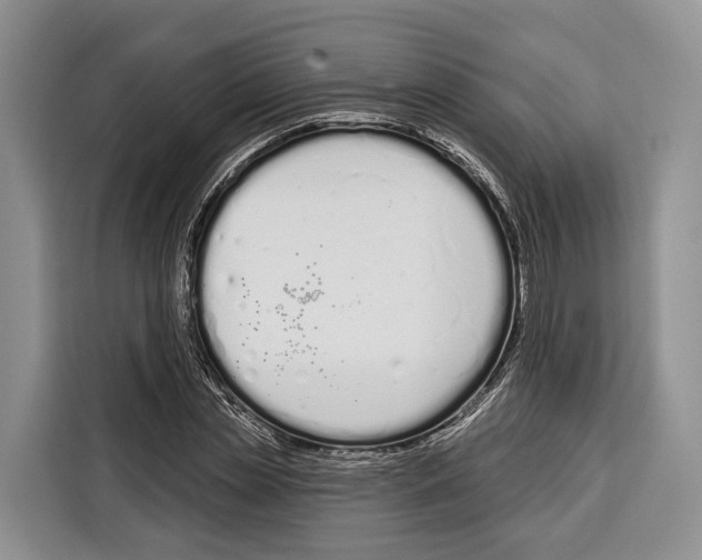 X0000115110829200911241325