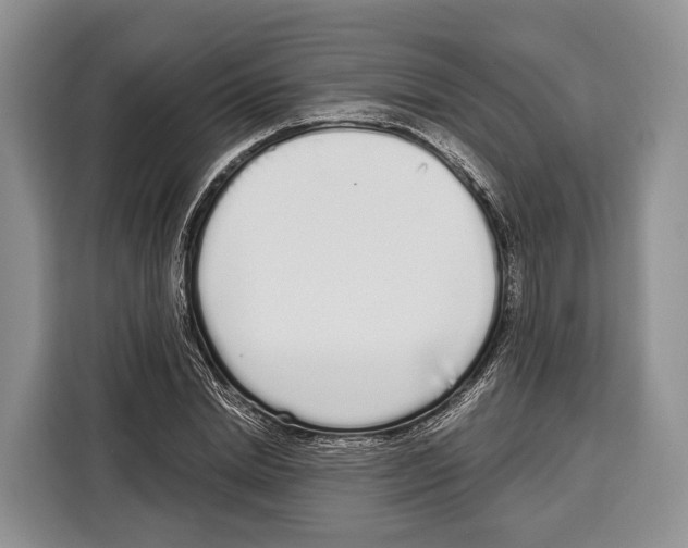 X0000115110830200911241325