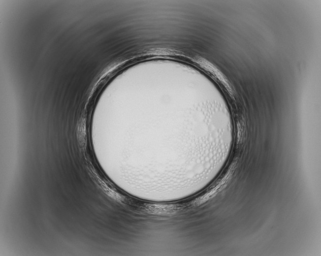 X0000115110831200911241325