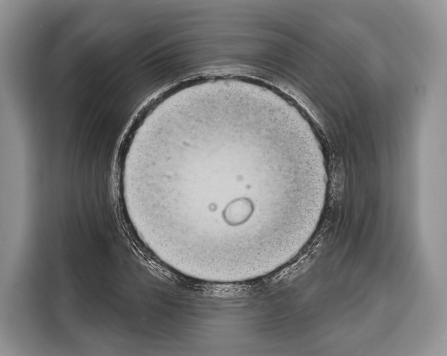 X0000115110832200911241325